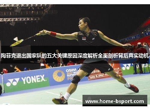 陶菲克退出国家队的五大关键原因深度解析全面剖析背后真实动机