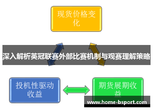 深入解析英冠联赛外部比赛机制与观赛理解策略 深入解析英冠联赛外部比赛机制与观赛理解策略