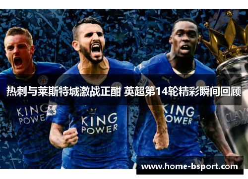 热刺与莱斯特城激战正酣 英超第14轮精彩瞬间回顾 热刺与莱斯特城激战正酣 英超第14轮精彩瞬间回顾