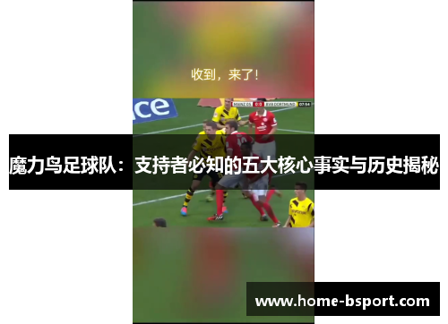 魔力鸟足球队：支持者必知的五大核心事实与历史揭秘